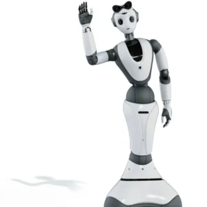 Welcome to explain XR1 interactive robot, humanoid bionic robot