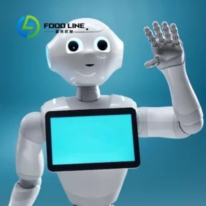 Intelligent Humanoid Robot High Tech Programmable Welcome Robot For Shop Hospitality Education Healthcare Customized