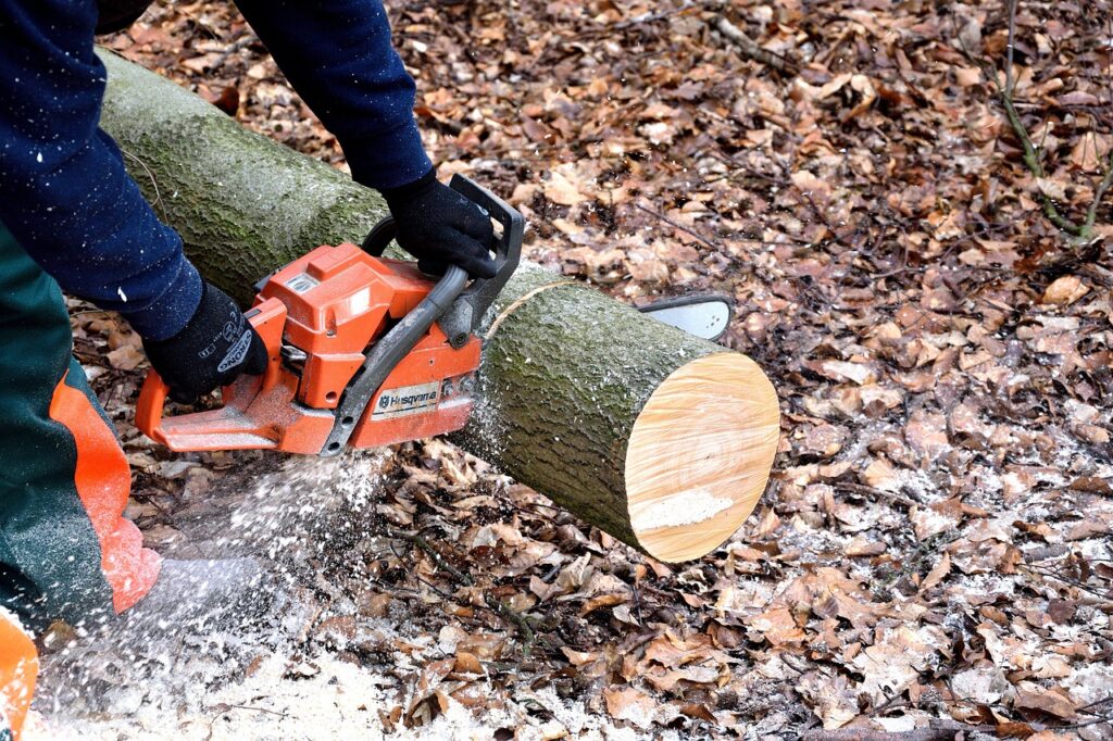lumberjack-2146509_1280