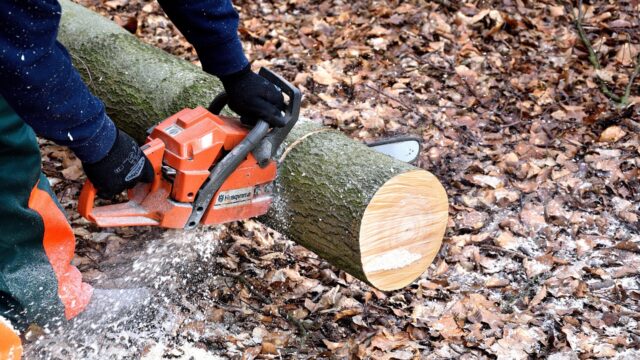 lumberjack-2146509_1280