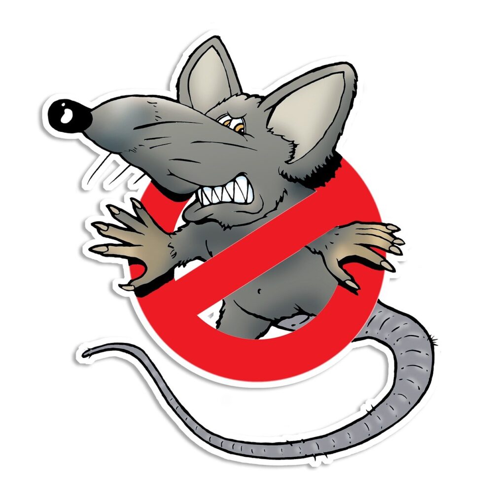 rat-4747230_1280