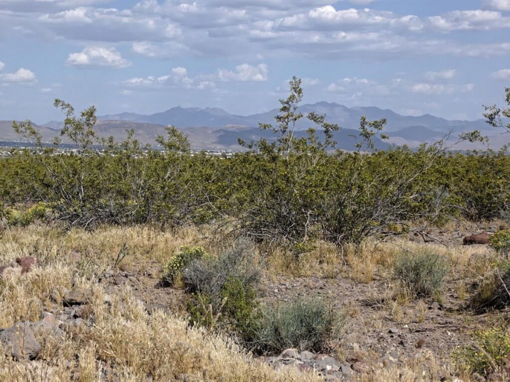 235-acre-lot-with-power-golden-valley-mohave-county-arizona-360321-fupw6r-xxl