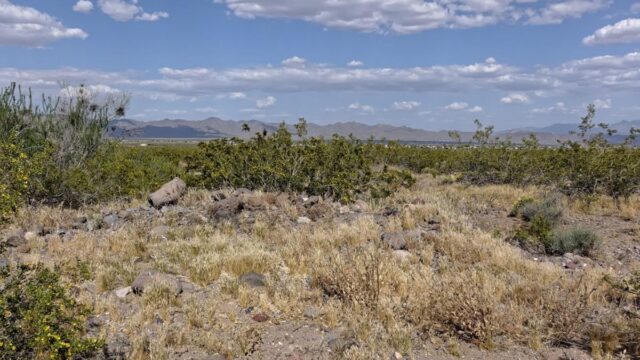 235-acre-lot-with-power-golden-valley-mohave-county-arizona-360321-nvgrws-xxl