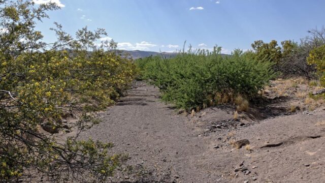 235-acre-lot-with-power-golden-valley-mohave-county-arizona-360321-vricra-xxl