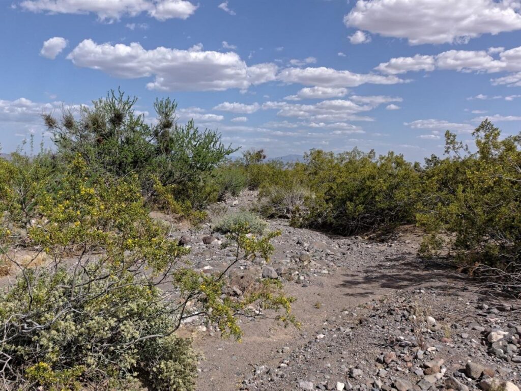 235-acre-lot-with-power-golden-valley-mohave-county-arizona-360321-wcjghn-xxl