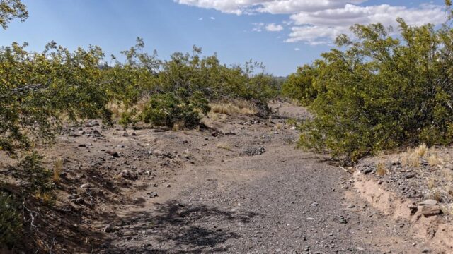235-acre-lot-with-power-golden-valley-mohave-county-arizona-360321-wm59ce-xxl