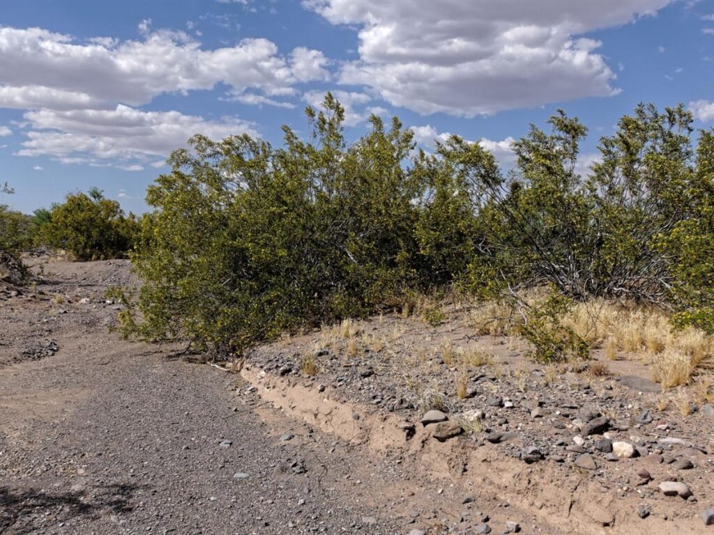235-acre-lot-with-power-golden-valley-mohave-county-arizona-360321-x1cs7b-xxl