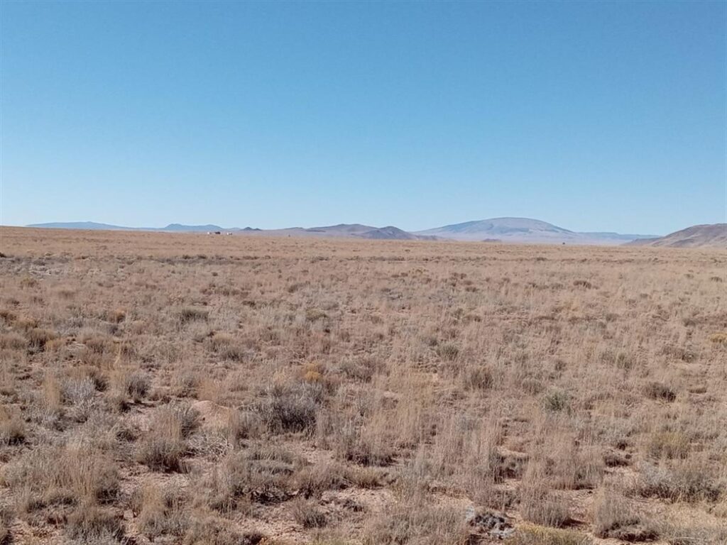 5-acres-of-pure-freedom-await-you-san-luis-costilla-county-colorado-362675-7uk0ze-xxl