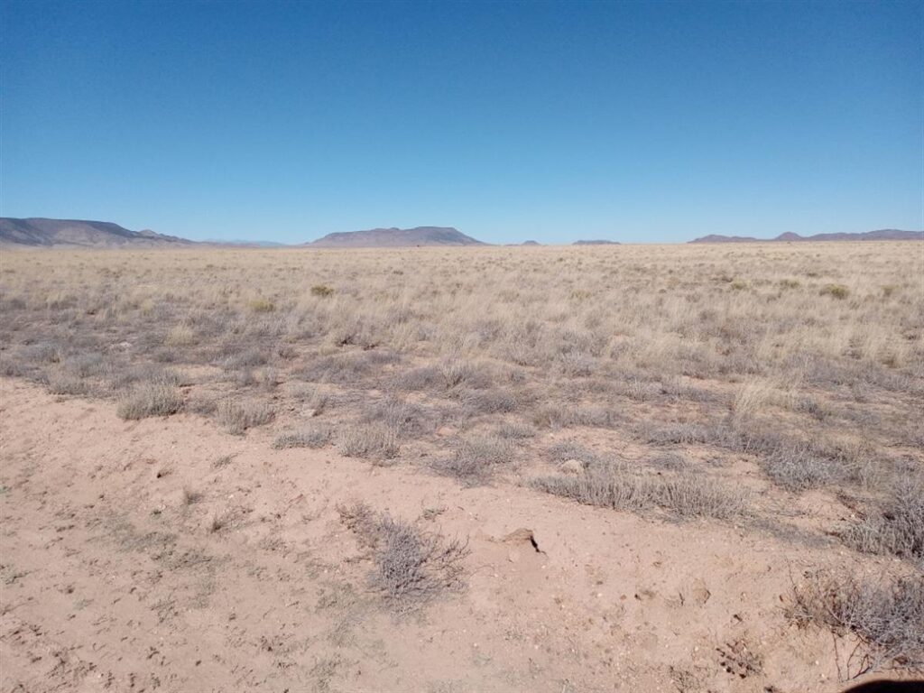 5-acres-of-pure-freedom-await-you-san-luis-costilla-county-colorado-362675-gjmasj-xxl