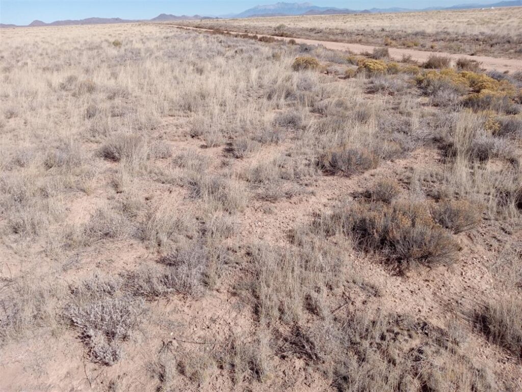 5-acres-of-pure-freedom-await-you-san-luis-costilla-county-colorado-362675-jjqdjw-xxl