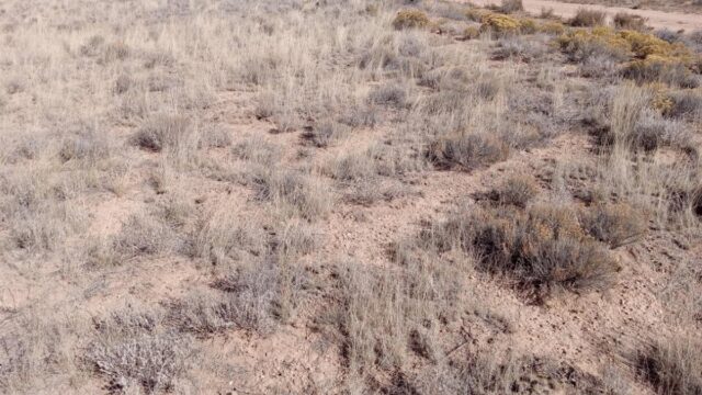 5-acres-of-pure-freedom-await-you-san-luis-costilla-county-colorado-362675-jjqdjw-xxl