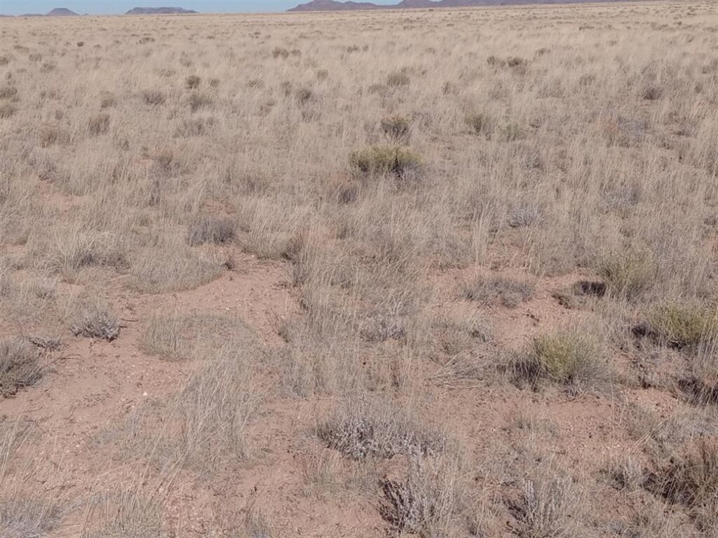 5-acres-of-pure-freedom-await-you-san-luis-costilla-county-colorado-362675-mq2wt0-xxl