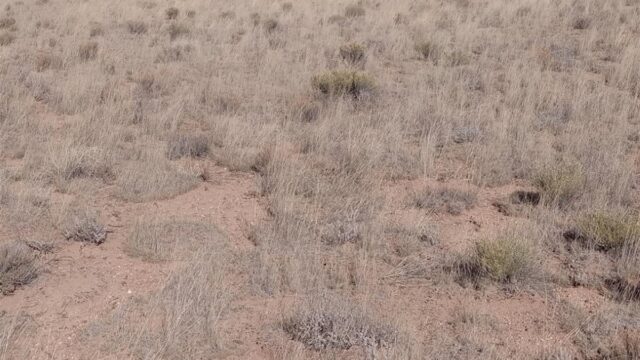 5-acres-of-pure-freedom-await-you-san-luis-costilla-county-colorado-362675-mq2wt0-xxl