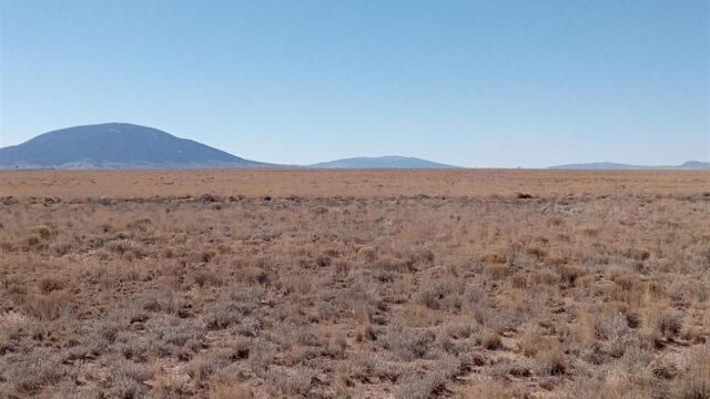 5-acres-of-pure-freedom-await-you-san-luis-costilla-county-colorado-362675-w3dbdg-xxl