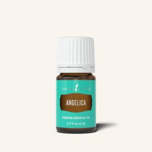 Angelica