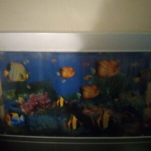 Hello Fish