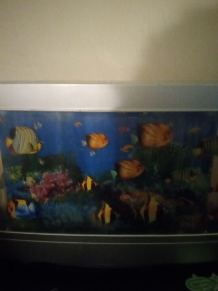 Hello Fish