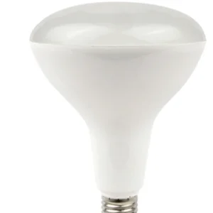 Light Bulb 1000 Lumens for Warehouse