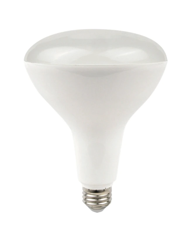Light Bulb 1000 Lumens for Warehouse