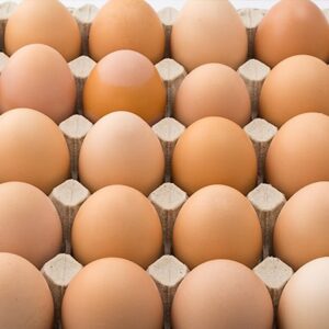 Free-Range Eggs, Wholesale, FREE-RANGE BROWN EGGS, 30 DOZEN EGGS, 15 DOZEN EGGS, 12 COUNT EGG CARTONS, 18 COUNT EGG CARTONS, SLEEVES OVERWRAP PRIVATE LABEL OR BRANDED PACKAGING And More…