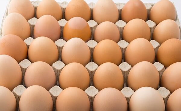 Free-Range Eggs, Wholesale, FREE-RANGE BROWN EGGS, 30 DOZEN EGGS, 15 DOZEN EGGS, 12 COUNT EGG CARTONS, 18 COUNT EGG CARTONS, SLEEVES OVERWRAP PRIVATE LABEL OR BRANDED PACKAGING And More…