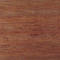 Imported Hardwood Apitong
