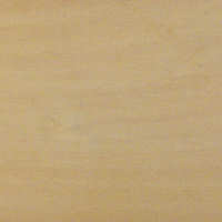 Domestic Hardwood Basswood