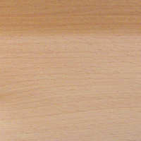 Domestic Hardwood Beech, American