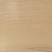 Domestic Hardwood Birch, Yellow