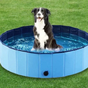 Dog Swimming Pool or Pool Cover Portable Plastic Pool Grooming Tub Bathing Scratch Resistance Pet Pools Bathtub for Large Dogs