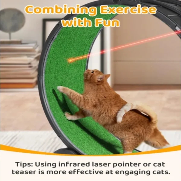 Cat Exercise Wheel Treadmill Exerciser with Carpeted Runway, Plastic Running Wheel for Cats Daily Exercise and Weight Loss - Image 4