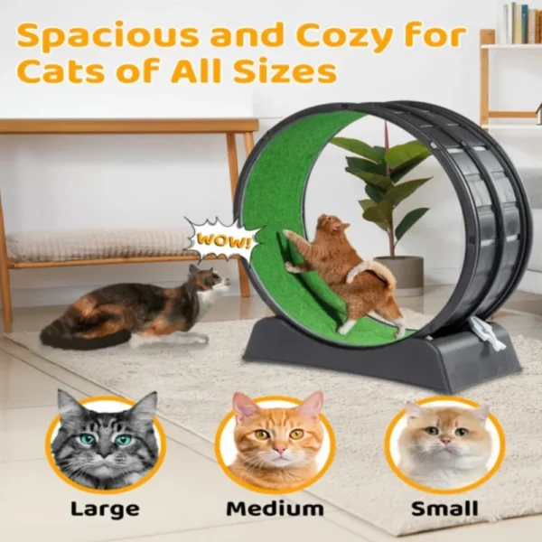 Cat Exercise Wheel Treadmill Exerciser with Carpeted Runway, Plastic Running Wheel for Cats Daily Exercise and Weight Loss - Image 5