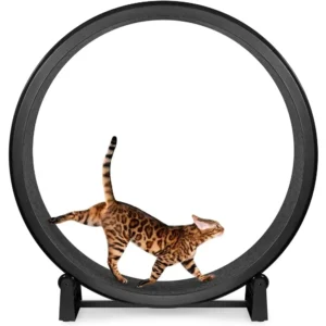 One Fast Cat Exercise Wheel, Gen. 7, 48" Diameter, Made in USA, Black Wheel with Black Felt Traction Pads for Safe Cat Fitness