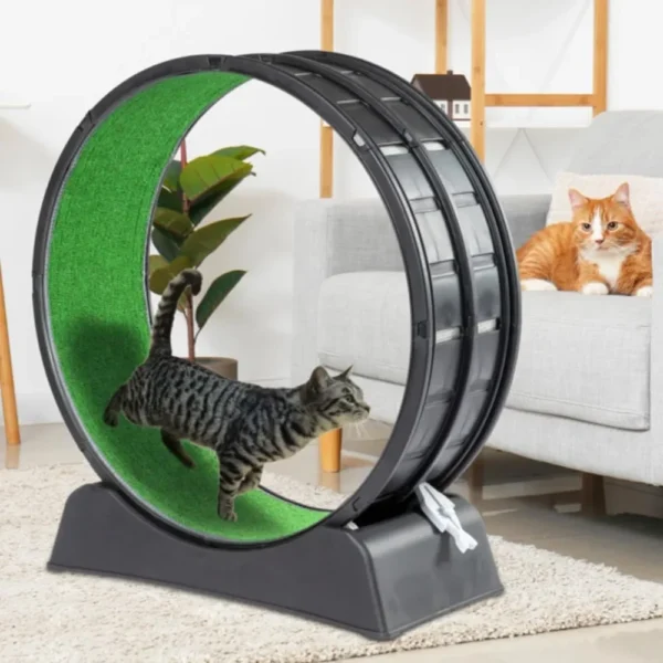 Cat Exercise Wheel Treadmill Exerciser with Carpeted Runway, Plastic Running Wheel for Cats Daily Exercise and Weight Loss - Image 3