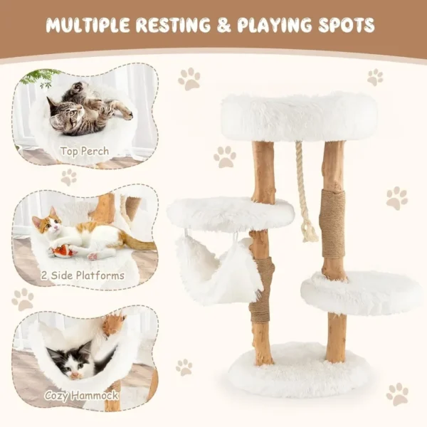 Cat Tree for Indoor Cats, Solid Wood Modern Cat Tower with Cozy Top Perch, Platforms & Hammock, Natural Branch Cute Cat Tree - Image 5