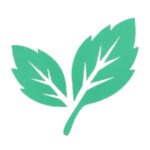 Stream Mint